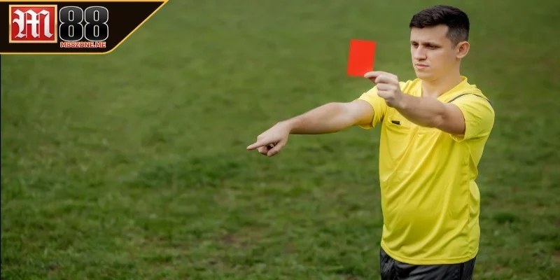 Những lí do khiến cho nền tảng trở thành lựa chọn số một