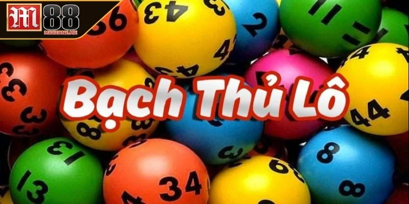 Sơ lược về bạch thủ lô