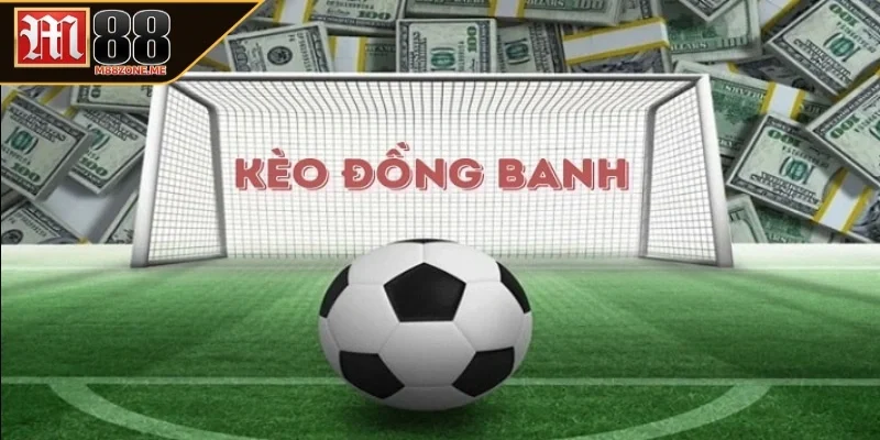 Thời điểm thích hợp luôn là yếu tố giúp bạn nắm phần thắng